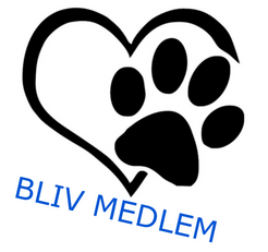 Bliv medlem