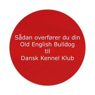 Guide til overførsel